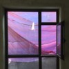 steep_frost_7p6