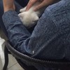 我会保护你