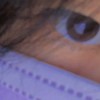 15y_ins