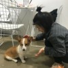 米米花