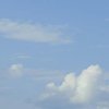 夏