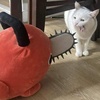 捌溘