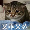 宋