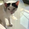 QQ
