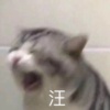 郭佳晔