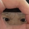 阿金