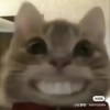 5000