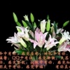 莫问我