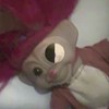 Sloth