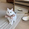 咩咩羊