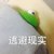 懕