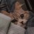GZY_0224