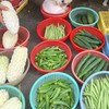 毛小六儿