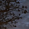 星空demo
