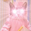 急摁