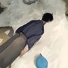 轨迹