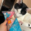 にゃも