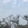 Abyang