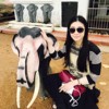 小蹄子猪不停蹄