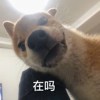 AderCharlie01