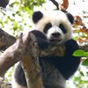Adorable__