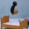 红霉素