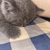 温室飞行员