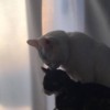 超人不会飞