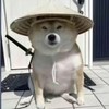 DullBoy