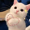 Mico