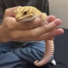 闭嘴