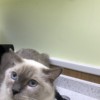 你叔在这呢；