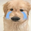 抑菌