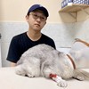 班克西