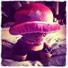 Bbqporkbun
