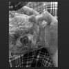 cookies901217