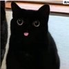觉