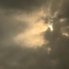 虫