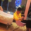 岛戈上的鸟