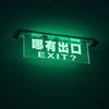 蓝鹿角