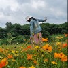 Butterfly85822