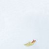 cold_truth_jtn