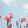 南都今日