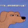 狗狗嗷嗷嗷嗷