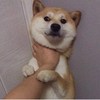 炫