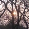 Chiu_0125