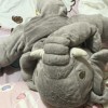 丁🐷
