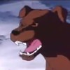 Civildoge