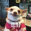 ˃̶͈?˂̶͈