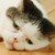fuzzface